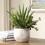 Uttermost Sundown Textural Succulents With White Gloss Ceramic Planter