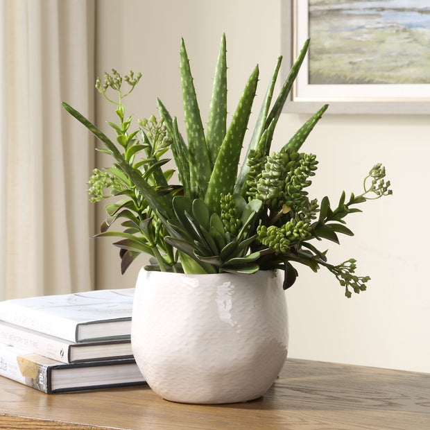 Uttermost Sundown Textural Succulents With White Gloss Ceramic Planter
