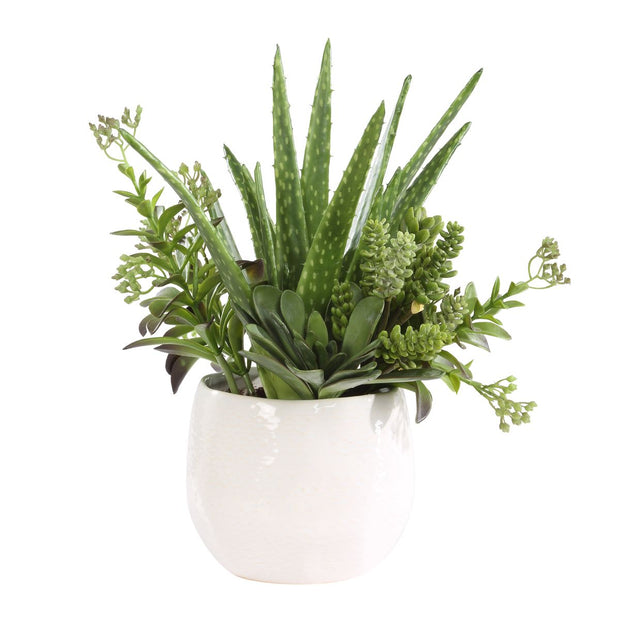 Uttermost Sundown Textural Succulents With White Gloss Ceramic Planter