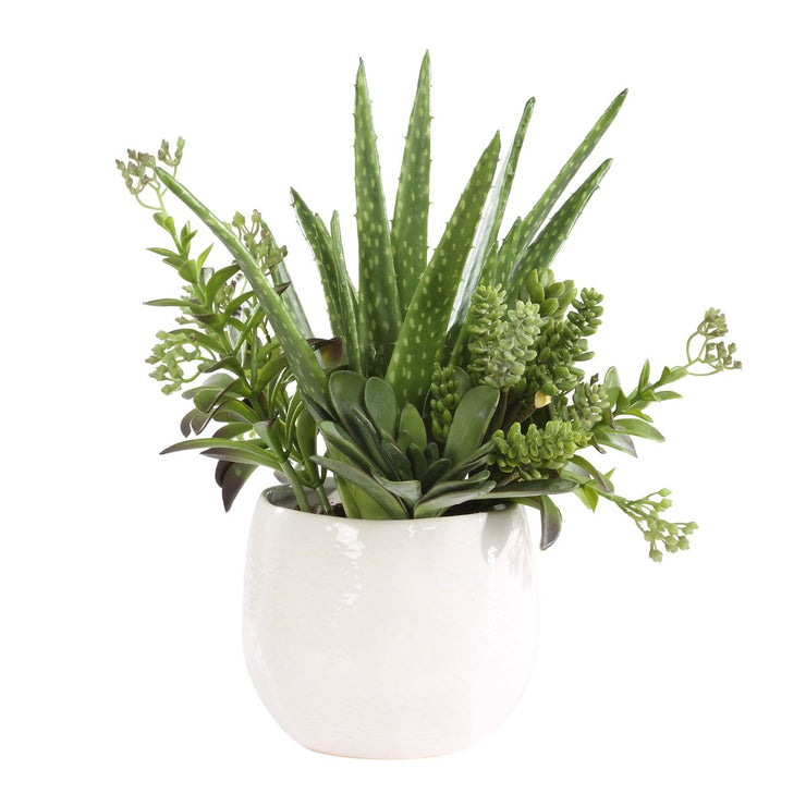 Uttermost Sundown Textural Succulents With White Gloss Ceramic Planter