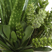 Uttermost Sundown Textural Succulents With White Gloss Ceramic Planter
