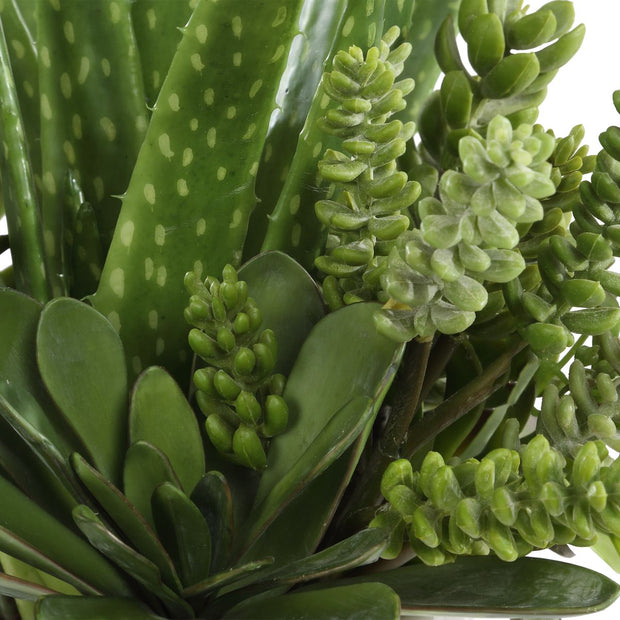 Uttermost Sundown Textural Succulents With White Gloss Ceramic Planter