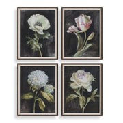 Uttermost Florals On Black Set of 4 Framed Prints