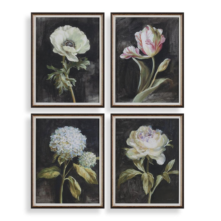 Uttermost Florals On Black Set of 4 Framed Prints