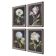 Uttermost Florals On Black Set of 4 Framed Prints