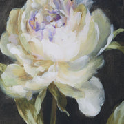 Uttermost Florals On Black Set of 4 Framed Prints