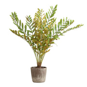Uttermost Zamia Palm Tree With Rustic Concrete Pot