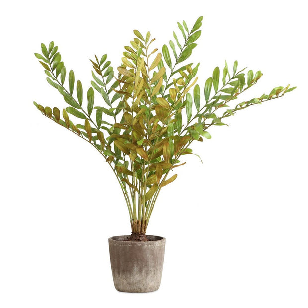Uttermost Zamia Palm Tree With Rustic Concrete Pot