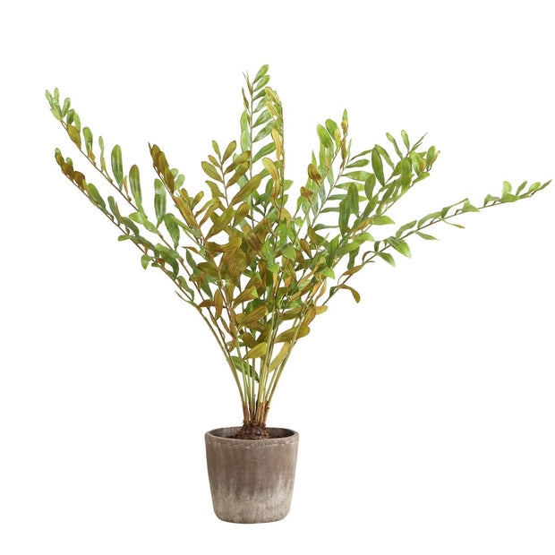 Uttermost Zamia Palm Tree With Rustic Concrete Pot