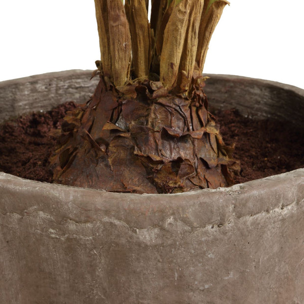 Uttermost Zamia Palm Tree With Rustic Concrete Pot