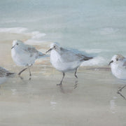 Uttermost Tranquil Shorebirds On The Sand Framed Print