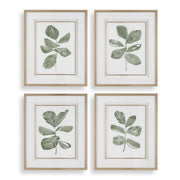 Uttermost Fiddle Head Leaf Set of 4 Botanical Framed Prints