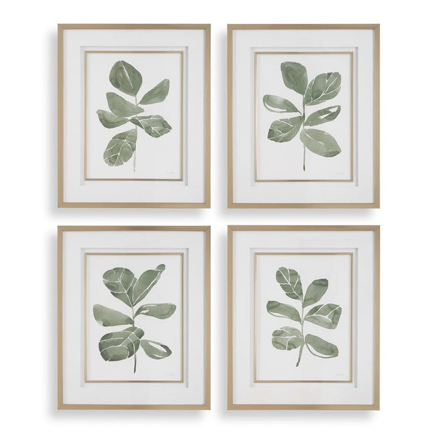 Uttermost Fiddle Head Leaf Set of 4 Botanical Framed Prints