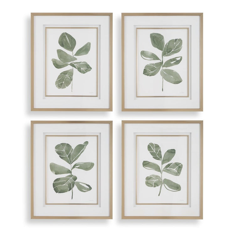 Uttermost Fiddle Head Leaf Set of 4 Botanical Framed Prints