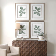 Uttermost Fiddle Head Leaf Set of 4 Botanical Framed Prints