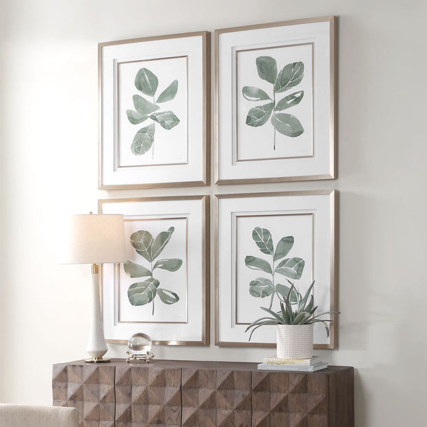 Uttermost Fiddle Head Leaf Set of 4 Botanical Framed Prints