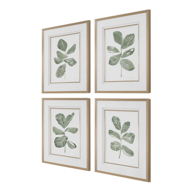 Uttermost Fiddle Head Leaf Set of 4 Botanical Framed Prints