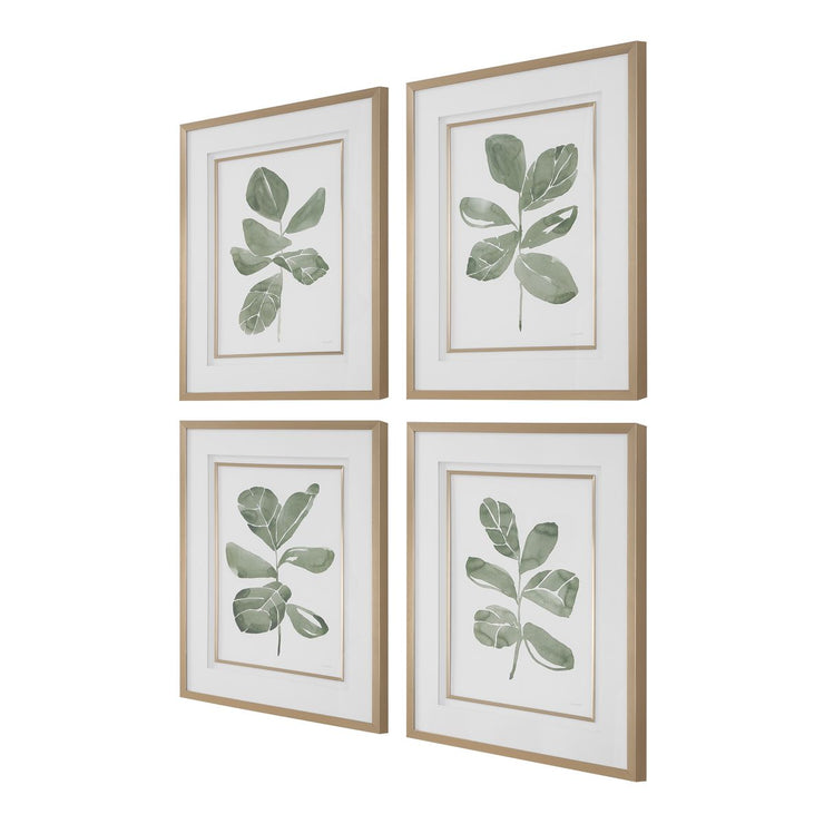 Uttermost Fiddle Head Leaf Set of 4 Botanical Framed Prints