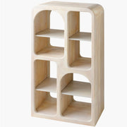Surya Tana Modern Mango Wood Bookcase