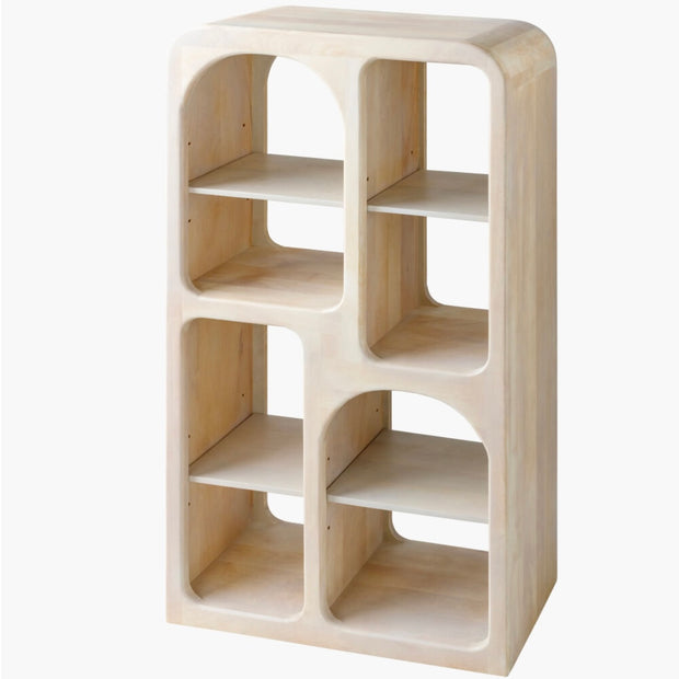 Surya Tana Modern Mango Wood Bookcase