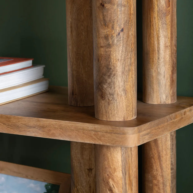 Crestview Collection Cairo Brown Etagere