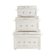 Crestview Collection Seaside White Shell Trunks