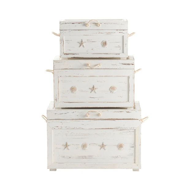 Crestview Collection Seaside White Shell Trunks
