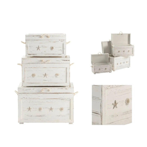 Crestview Collection Seaside White Shell Trunks