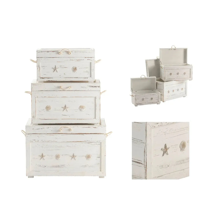 Crestview Collection Seaside White Shell Trunks