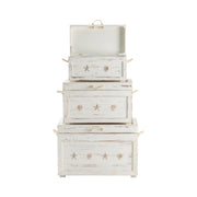 Crestview Collection Seaside White Shell Trunks