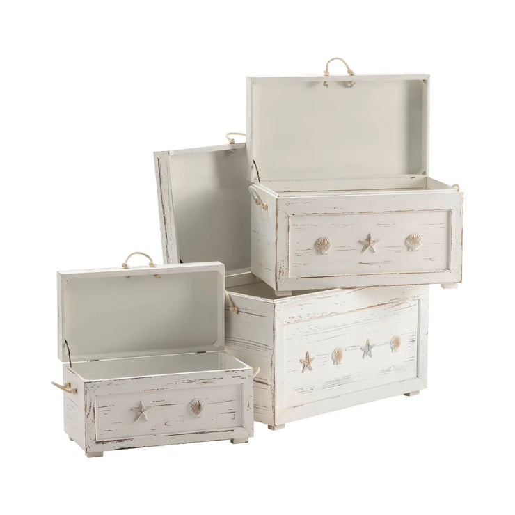 Crestview Collection Seaside White Shell Trunks