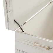 Crestview Collection Seaside White Shell Trunks