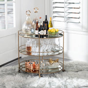 Crestview Collection Waterford Antique Mirror Shelves Bar Cart