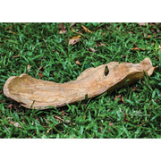 Uttermost Teak Leaf Natural Handcrafted Wood Bowl