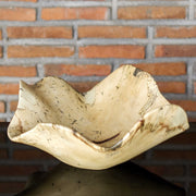 Uttermost Tamarine Natural Wood Bowl