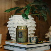 Voluspa Temple Moss Large Jar Candle ~18oz