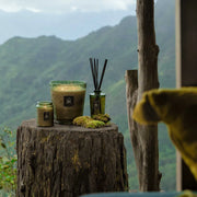 Voluspa Temple Moss Luxe Reed Diffuser