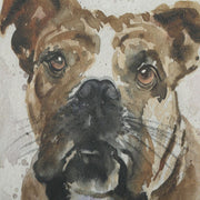 Uttermost Dog Days Framed Prints ~ Set of 4