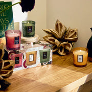Voluspa Temple Moss 3 Demi Candle Gift Set