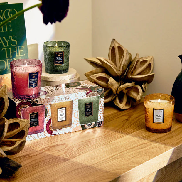 Voluspa Temple Moss 3 Demi Candle Gift Set