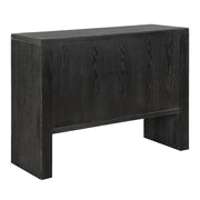 Uttermost Bierk Rich Dark Elm Wood Modern 2 Door Cabinet