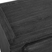 Uttermost Bierk Rich Dark Elm Wood Modern 2 Door Cabinet