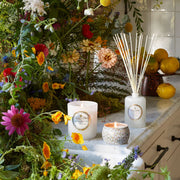 Voluspa Wildflowers Reed Diffuser