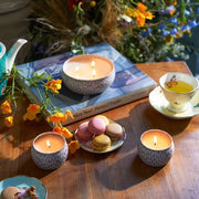 Voluspa Wildflowers Mini Tin Candle ~4oz