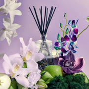 Voluspa Apple Blue Clover Reed Diffuser