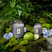 Voluspa Apple Blue Clover Small Jar Candle ~ 5.5oz