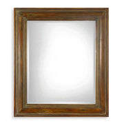 Uttermost Darian Dark Brown Finished Mirror