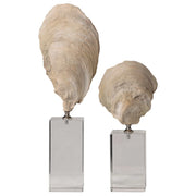 Uttermost Oyster Shell and Crystal Set of 2 Sculptures