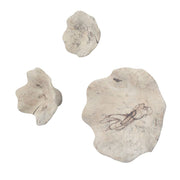 Uttermost Teo Bleached Wood Wall Decor ~ Set Of 3