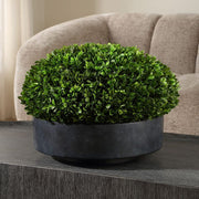 Uttermost Verdana Boxwood Sphere Centerpiece